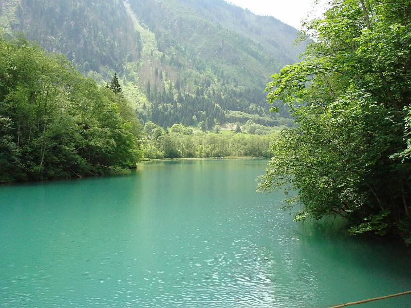 AUS04062009 (70).jpg